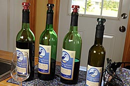 Wine samples